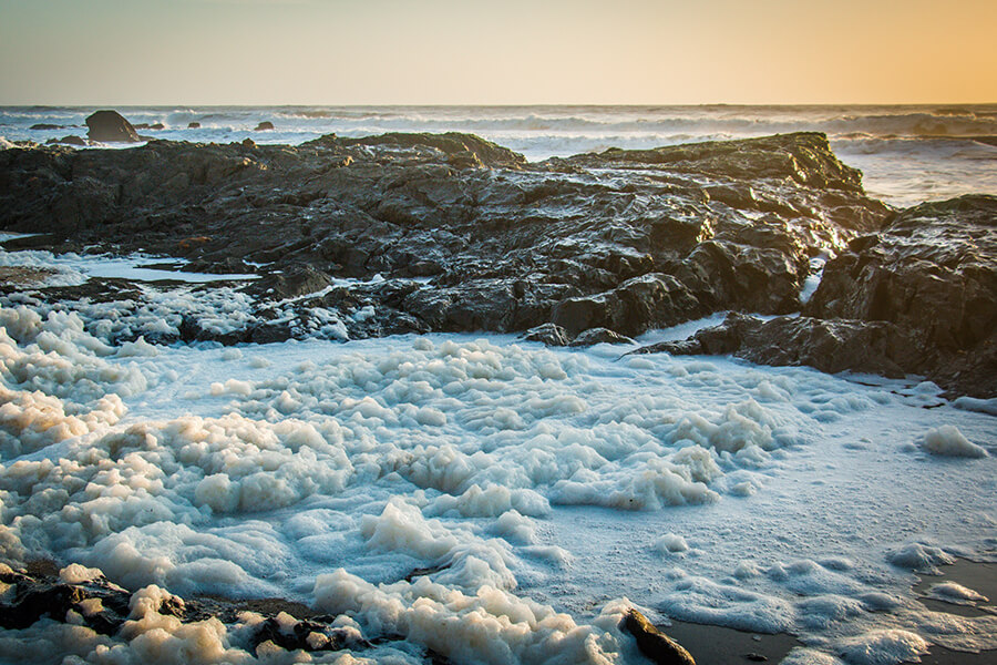 Winter Walks on the South West Coast Path