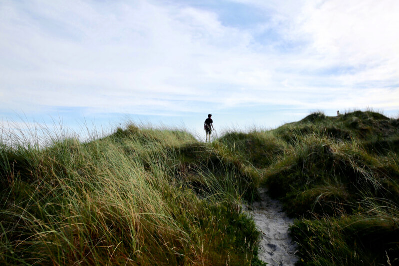 Why Walking is Great for Wellbeing 