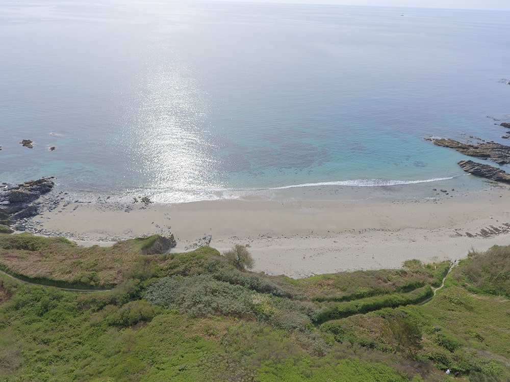 Driftwood Beach